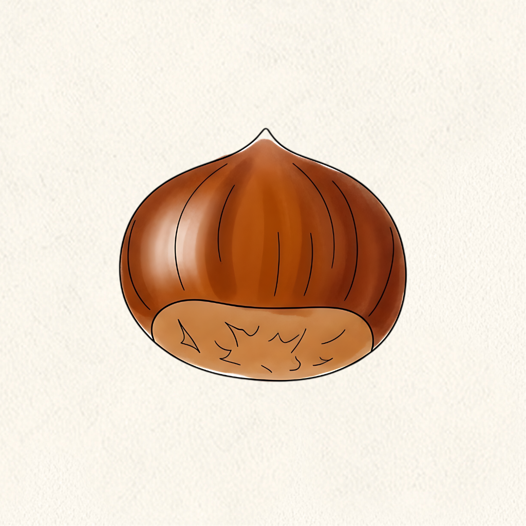 February 8 | The Warm Side of Japanese Tea